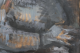00290034_6