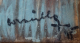 00285611_2