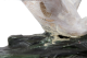 00254480_5