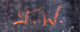 00285831_2