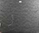 00283344_6