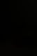 00290604
