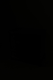 00289560