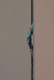 00287250_6