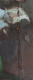 00244641_7