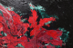 00276429_6