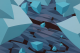 00289033_5