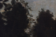 00289150_6
