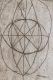00288964_5