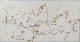 00287210