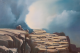 00273976_5