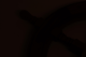 00283538_3