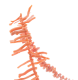 00289053_4