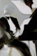 00286405_6