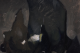 00288588_6