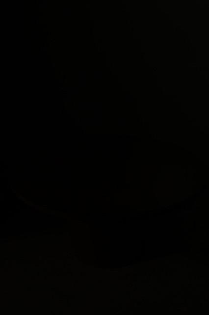 00290604