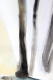 00287221_4