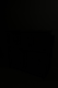 00290594