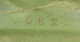 00280493_7