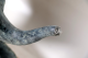 00284258_3